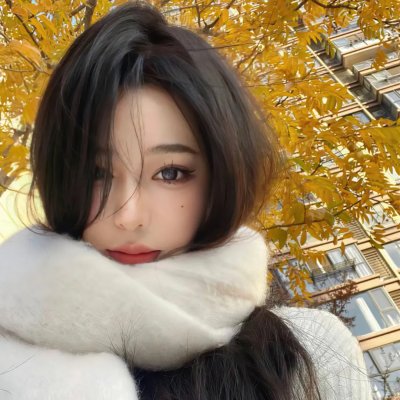 拾犬拾美